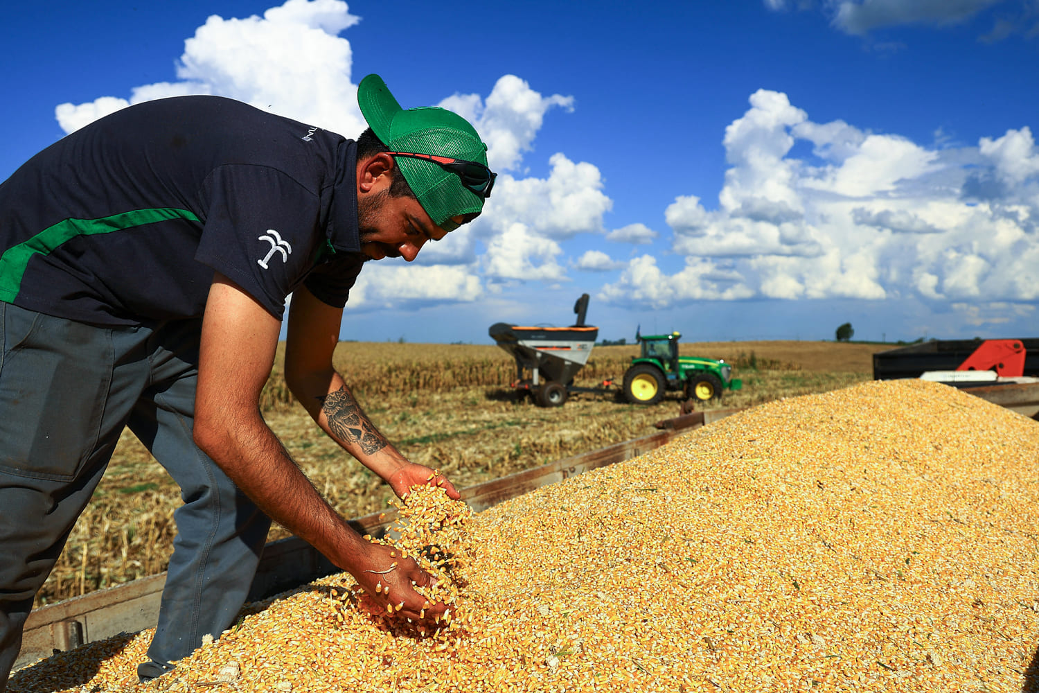 How the Iran war could shatter global food security
